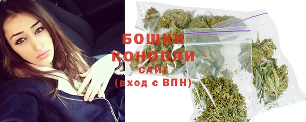 дмт Новозыбков