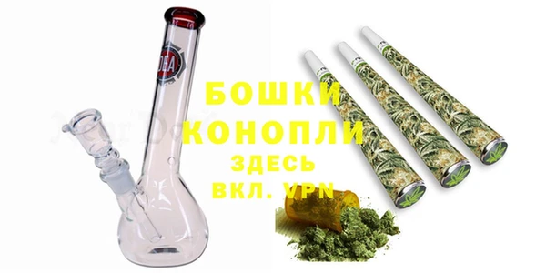 дмт Новозыбков