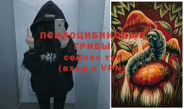 ALPHA PVP Новодвинск