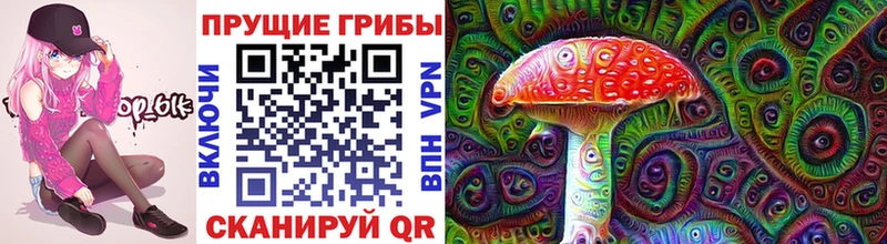 Галлюциногенные грибы Psilocybe Корсаков
