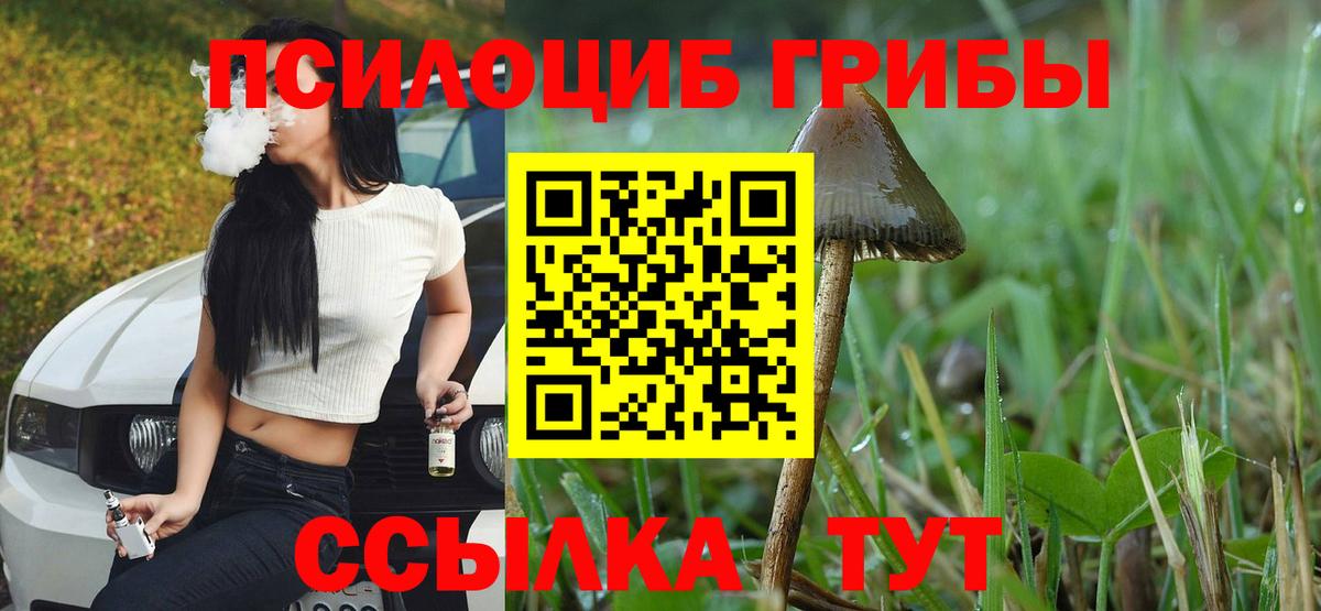 Галлюциногенные грибы Magic Shrooms  Вход с VPN  Корсаков 